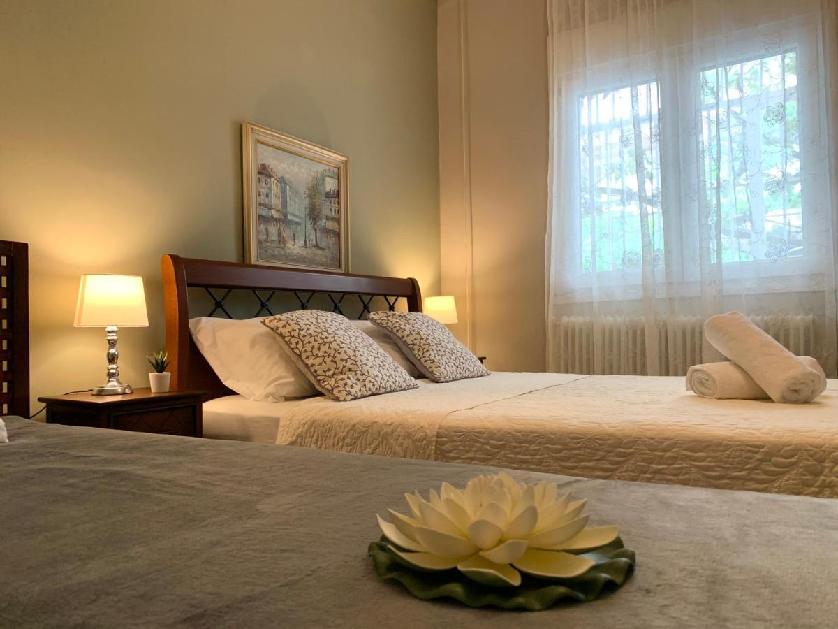 Oasis Luxury Detached House In With Hydromassage Apartament *
